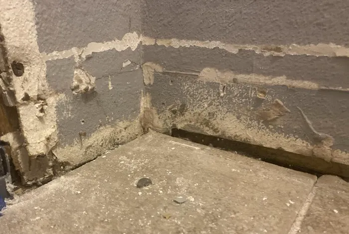 AdvantaClean of the Eastside Picture 5