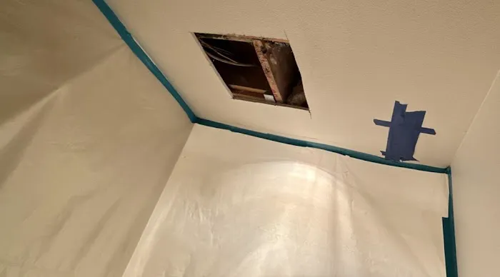 AdvantaClean of the Eastside Picture 6