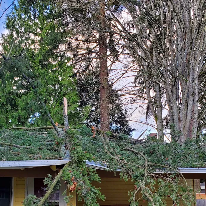 Genesis Restorations Picture 5