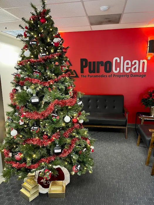 PuroClean Professional Restoration Picture 6