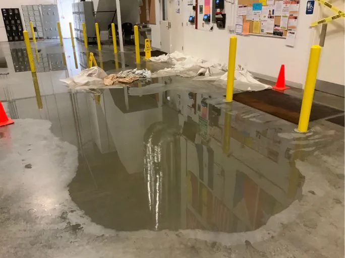 Cleardry Water Damage Restoration Everett Picture 7