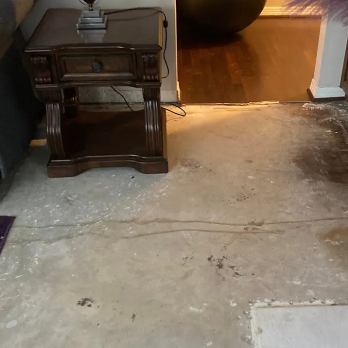 Cleardry Water Damage Restoration Everett Picture 3