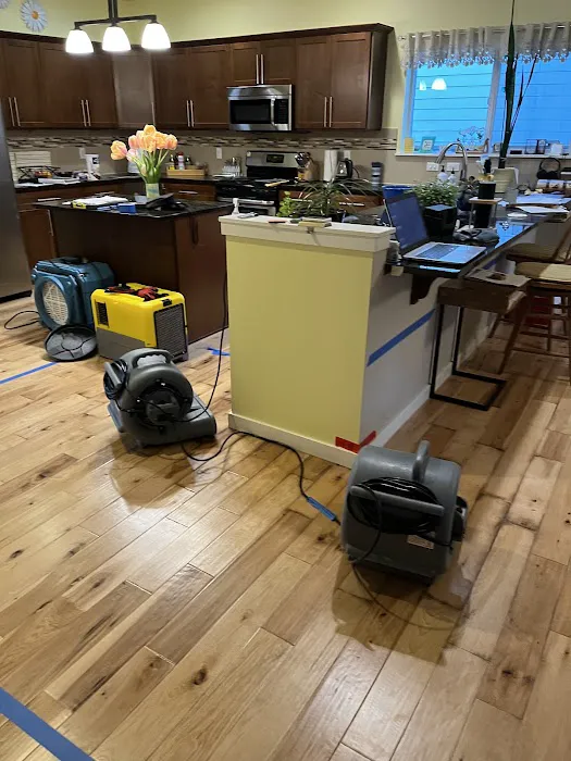 Quick Dry Restoration Picture 9