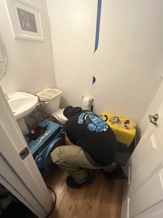 Quick Dry Restoration Picture 2