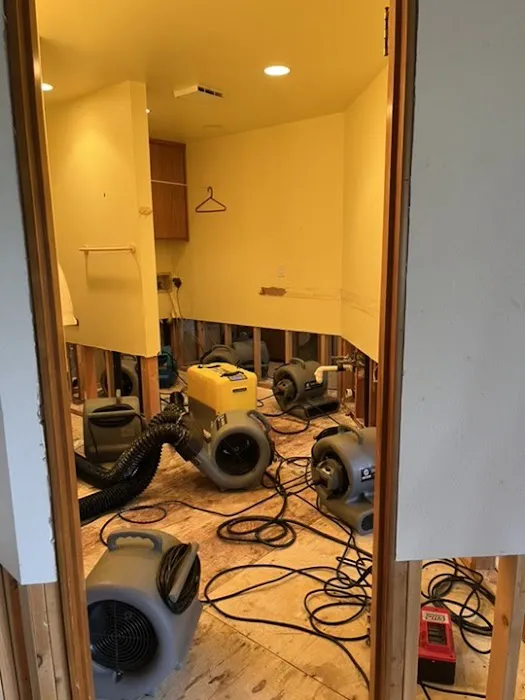 Quick Dry Restoration Picture 3