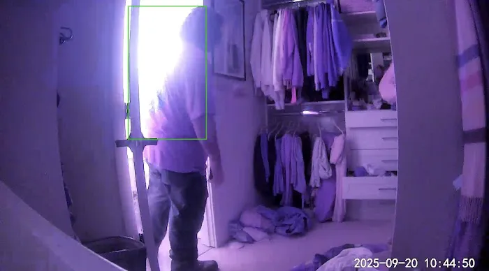 Quick Dry Restoration Picture 1