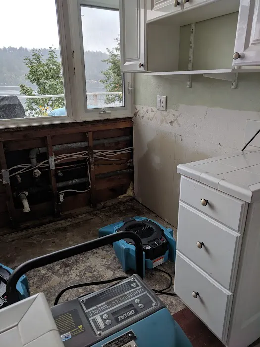 Alpine Cleaning and Restoration Picture 9