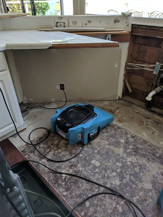 Alpine Cleaning and Restoration Picture 2