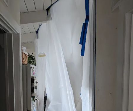 Alpine Cleaning and Restoration