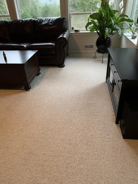 Stanley Steemer Picture 3