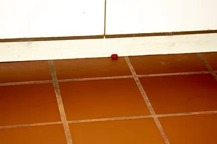 Stanley Steemer Picture 2