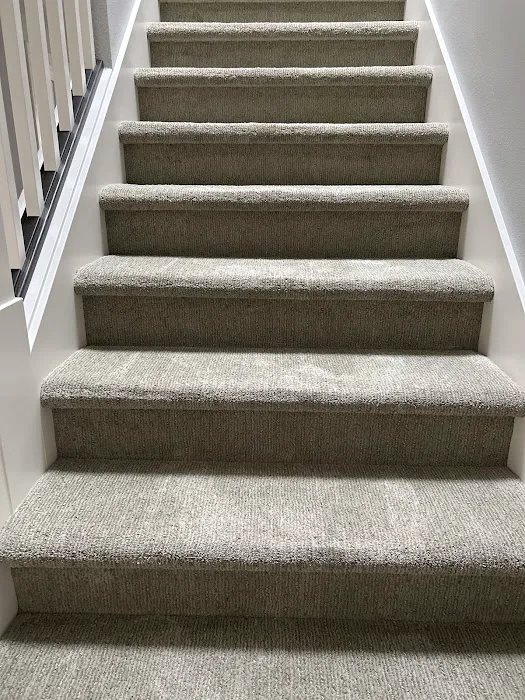 Stanley Steemer Picture 10