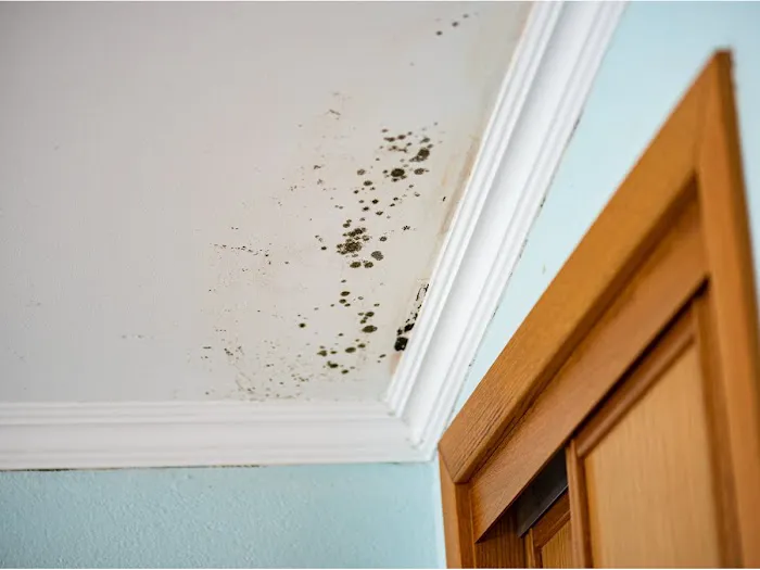 Good To Go Picture 5