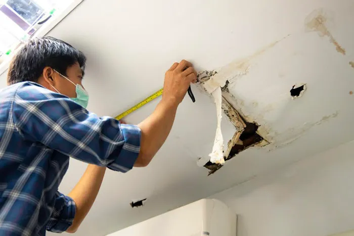 Good To Go Picture 7