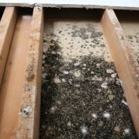 Corbin Water Damage Restoration Services ico