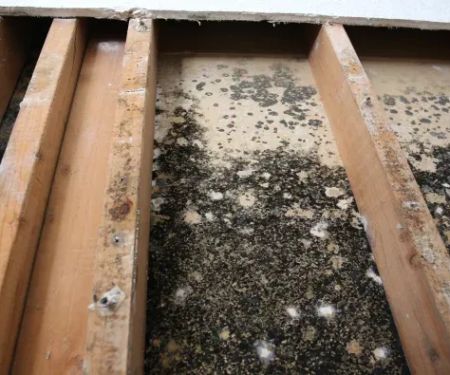 Corbin Water Damage Restoration Services