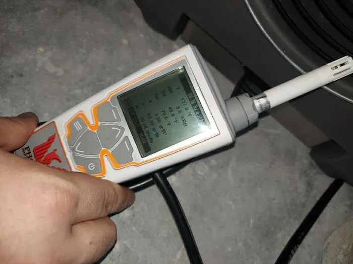 Edgeline Restoration Picture 4