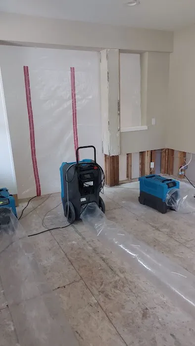 Edgeline Restoration Picture 1