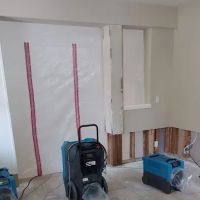 Edgeline Restoration ico