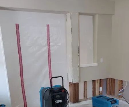 Edgeline Restoration