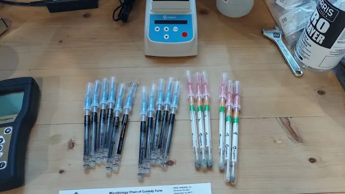 Edgeline Restoration Picture 5