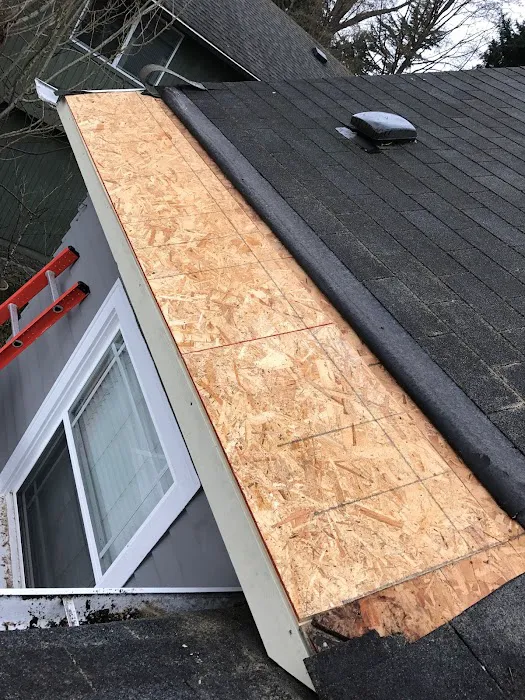 Absolute Rot Repair Picture 3