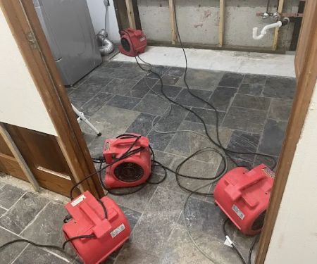 PuroClean of Marysville