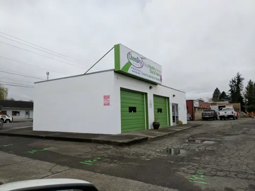 Chem-Dry of Mount Vernon Picture 8