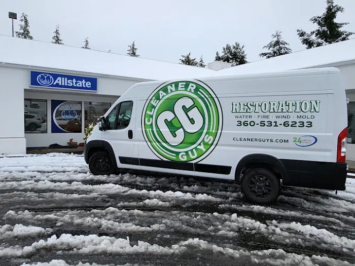 Cleaner Guys Picture 10