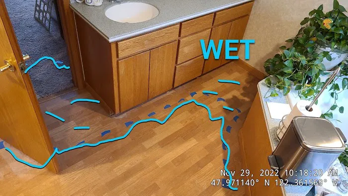 Cleaner Guys Picture 7