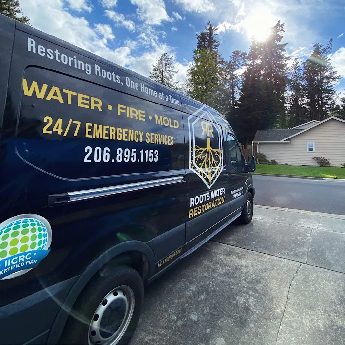 Roots Water Restoration Picture 8