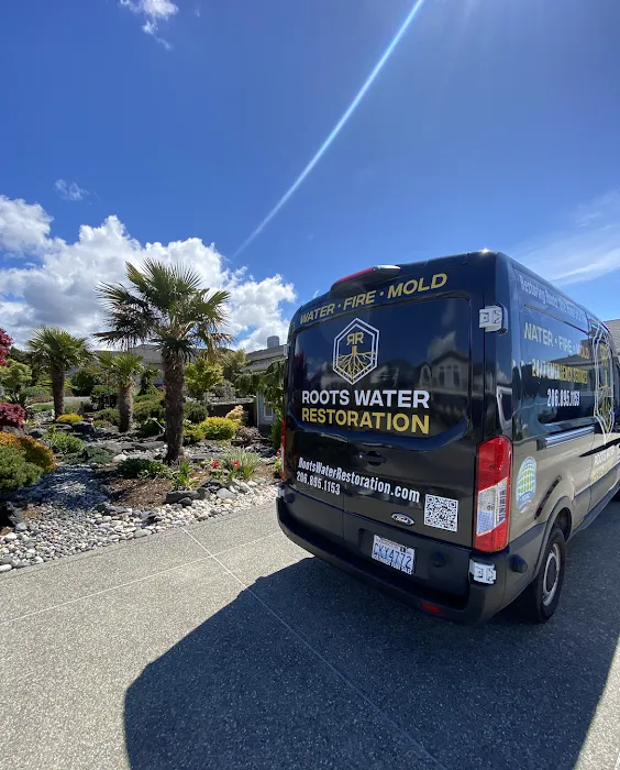 Roots Water Restoration Picture 2