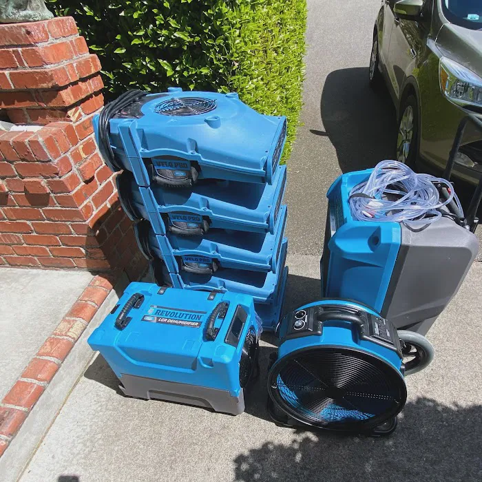 Roots Water Restoration Picture 10