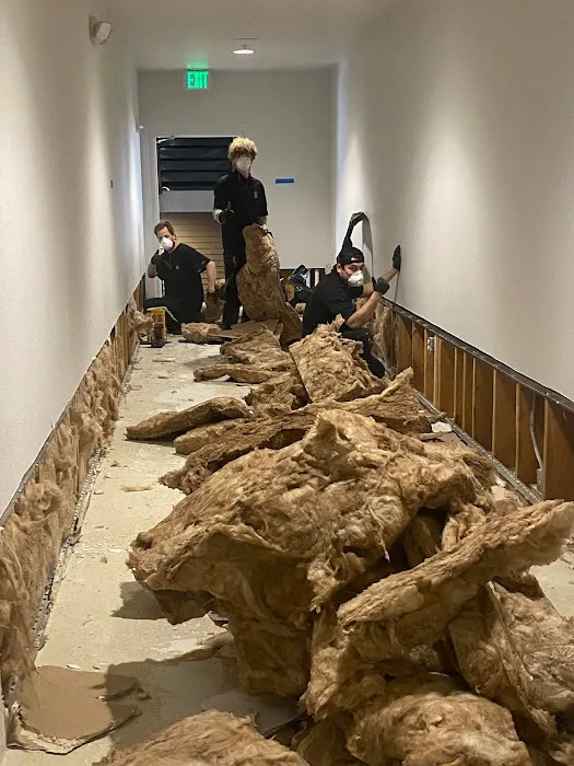 Roots Water Restoration Picture 9