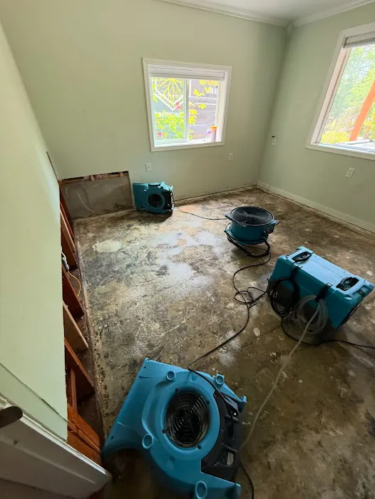 Roots Water Restoration Picture 5