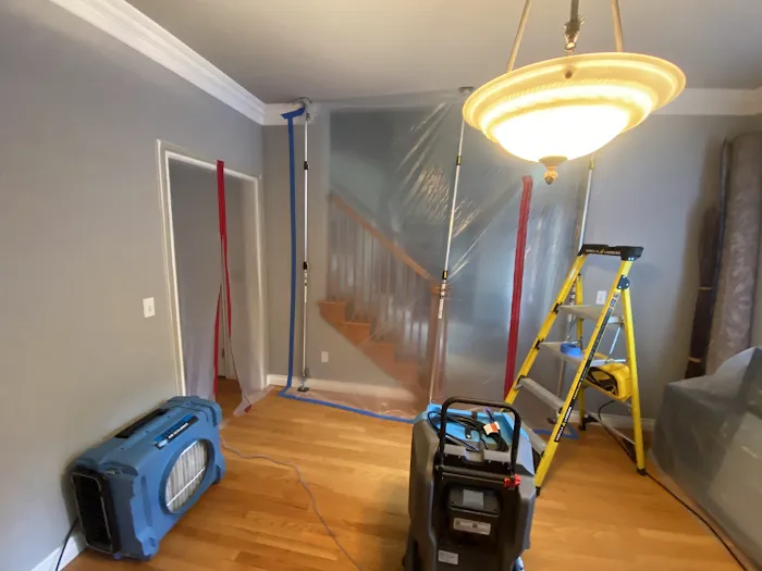 Roots Water Restoration Picture 6