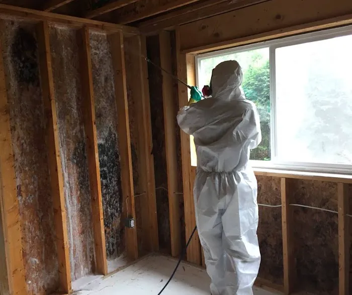 ServiceMaster Cleaning by Roth Picture 2