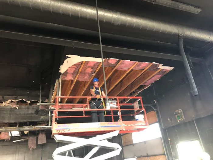 ServiceMaster Cleaning by Roth Picture 4