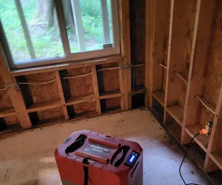 HOMETEC mold removal