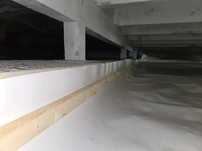 HOMETEC mold removal Picture 6