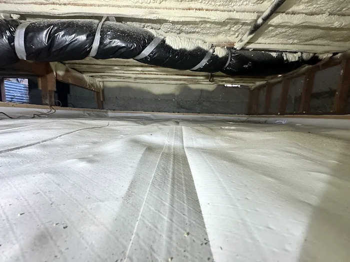 HOMETEC mold removal Picture 8