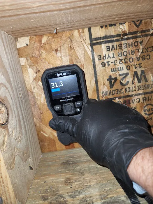 HOMETEC mold removal Picture 5