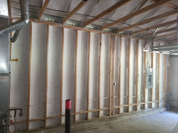 HOMETEC mold removal Picture 4