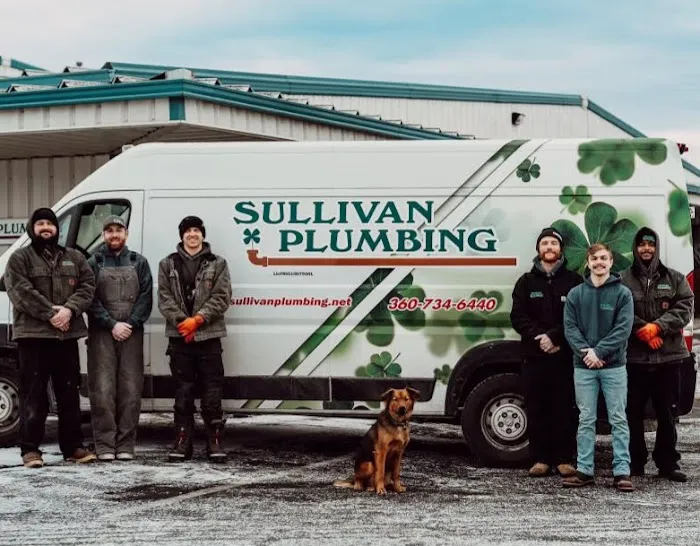 Sullivan Plumbing Picture 9