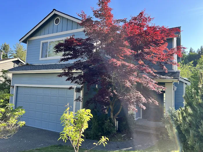 Hilltop Painting Picture 3