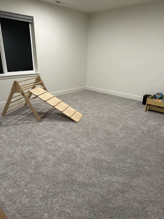 Swan's Carpet Cleaning Picture 9