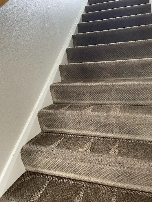 Swan's Carpet Cleaning Picture 4