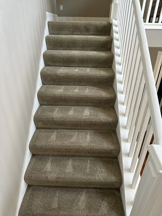 Swan's Carpet Cleaning Picture 2