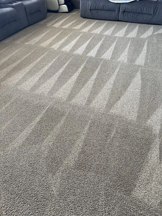 Swan's Carpet Cleaning Picture 8
