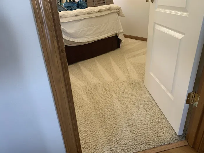 Swan's Carpet Cleaning Picture 3